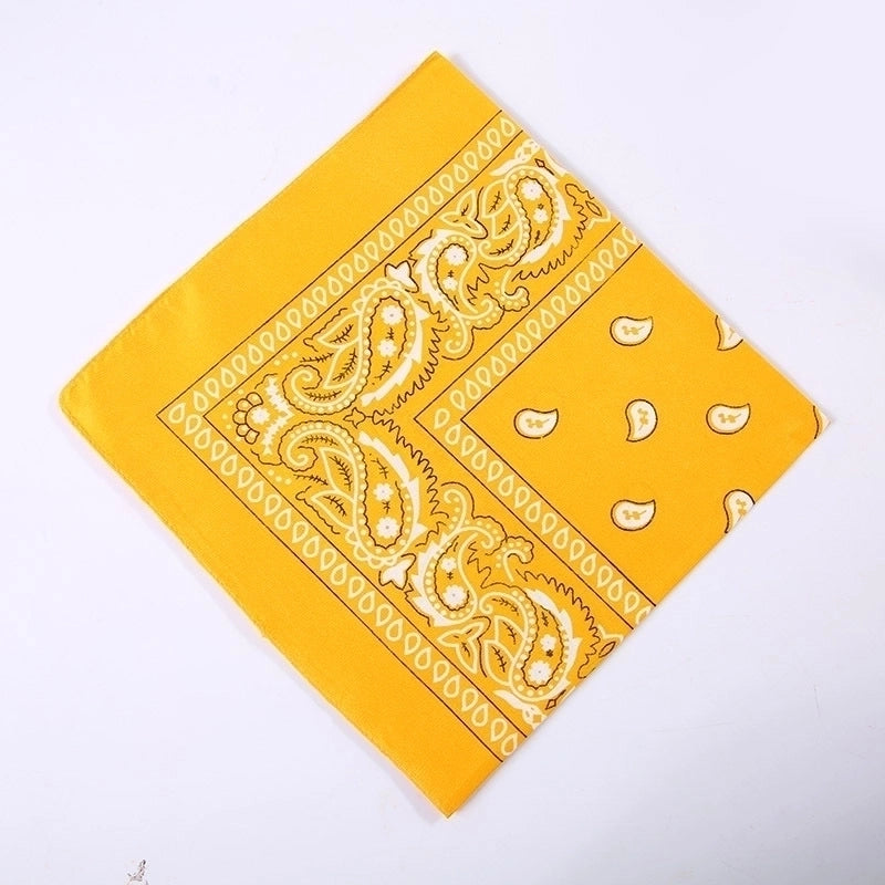Unisex Hip-Hop Paisley Polyester Bandanas