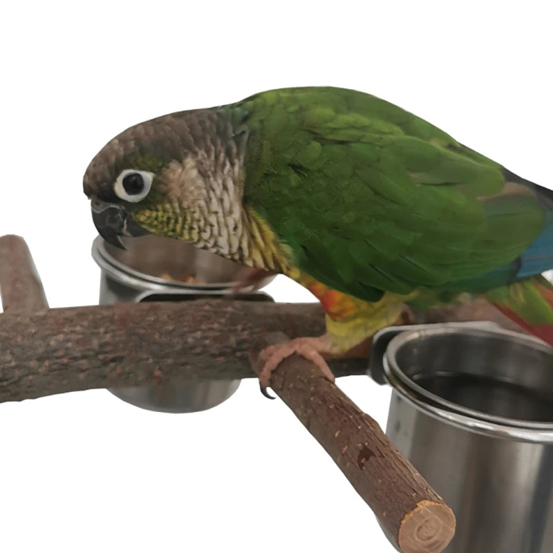 Bird Perch Tree Wood Stand With Stainless Steel Feeding Cups