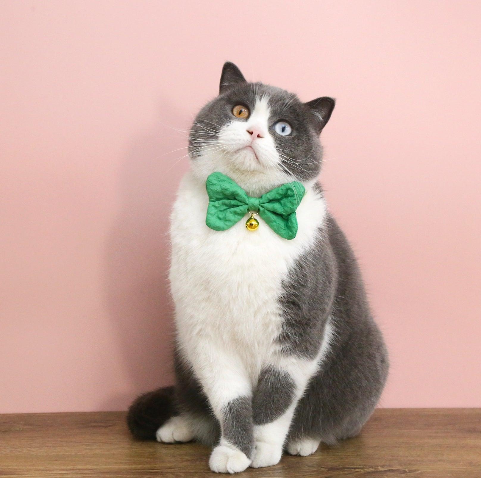 Candy-Colored Denim Bowtie Adjustable Pet Collar