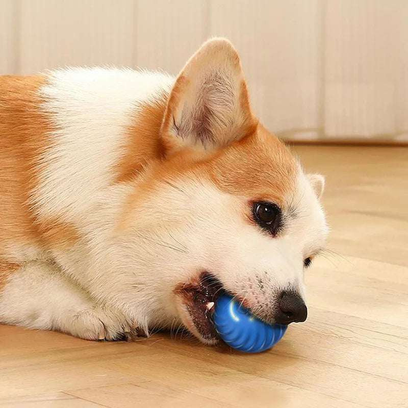 Interactive Durable Chew Ball for Dogs