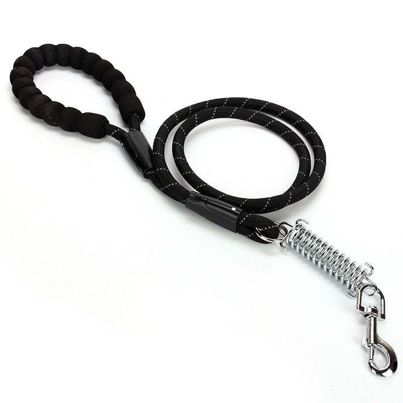Large Dog Collar And Leash