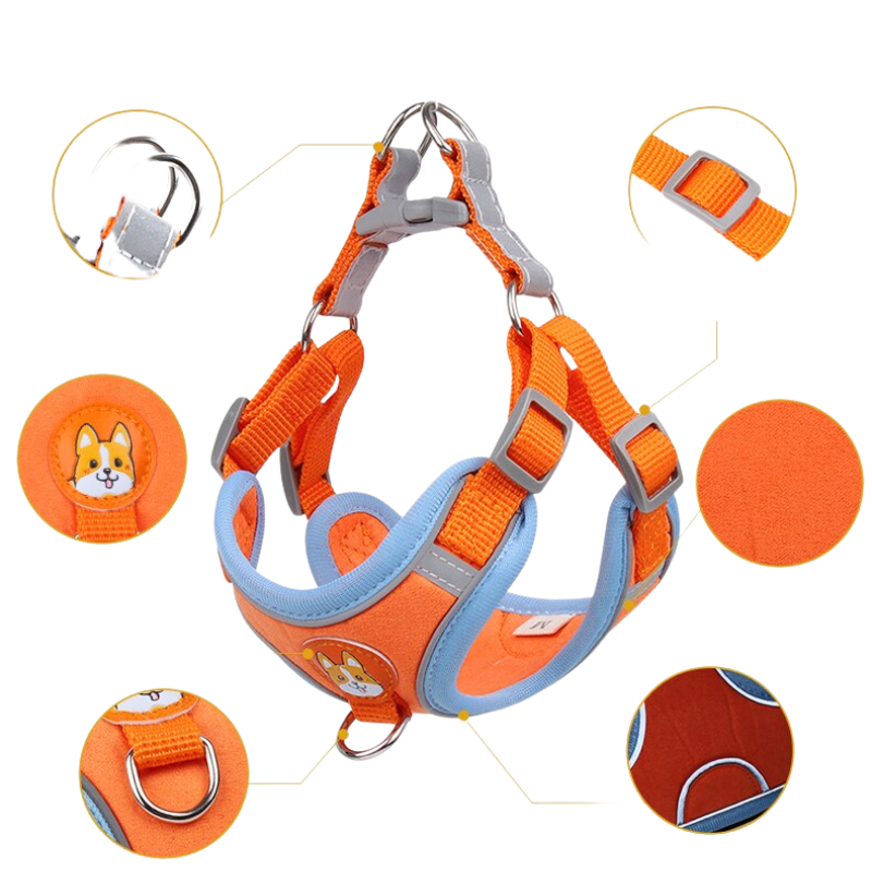 Reliable Dog Harness And Leash Set