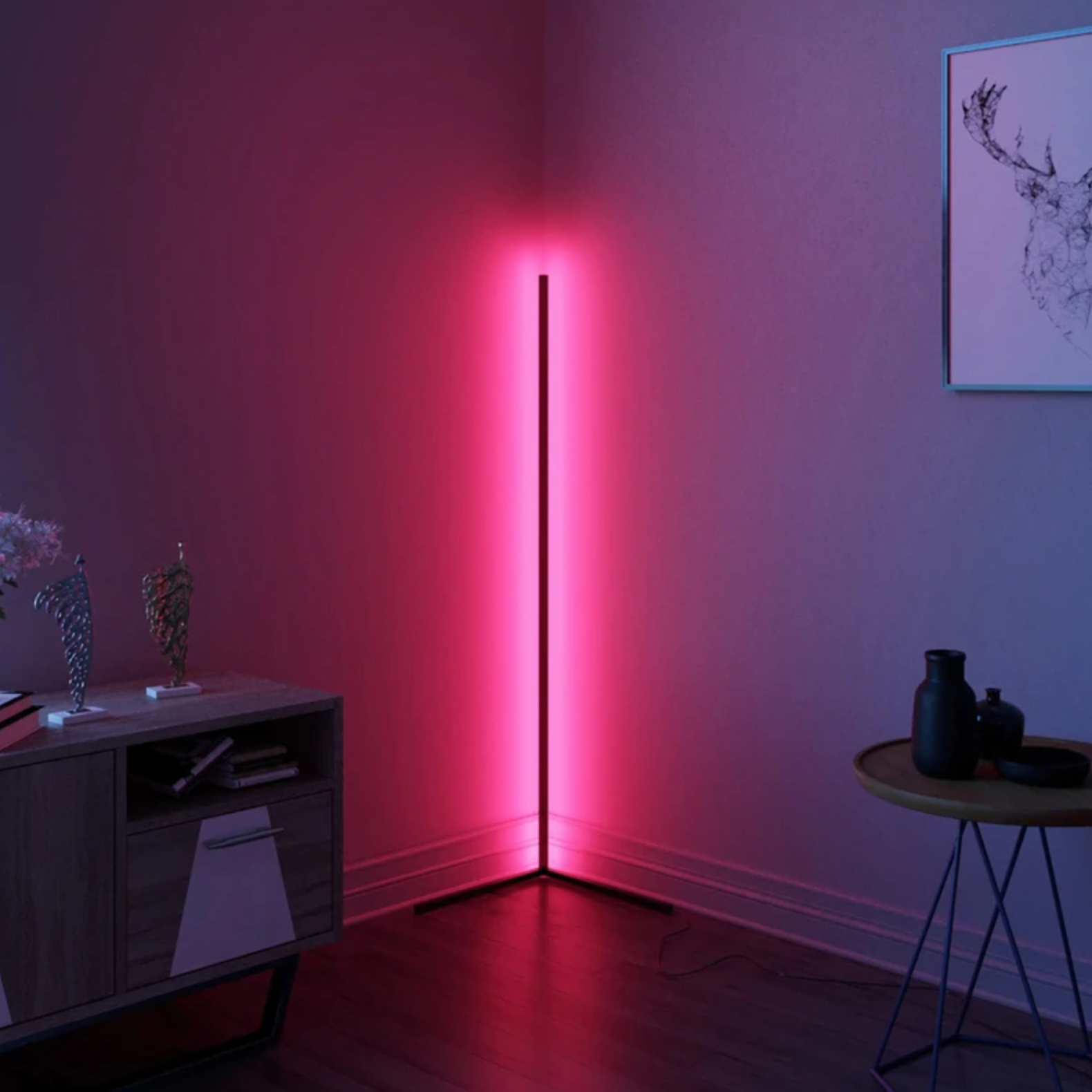 Light LED Floor Lamp