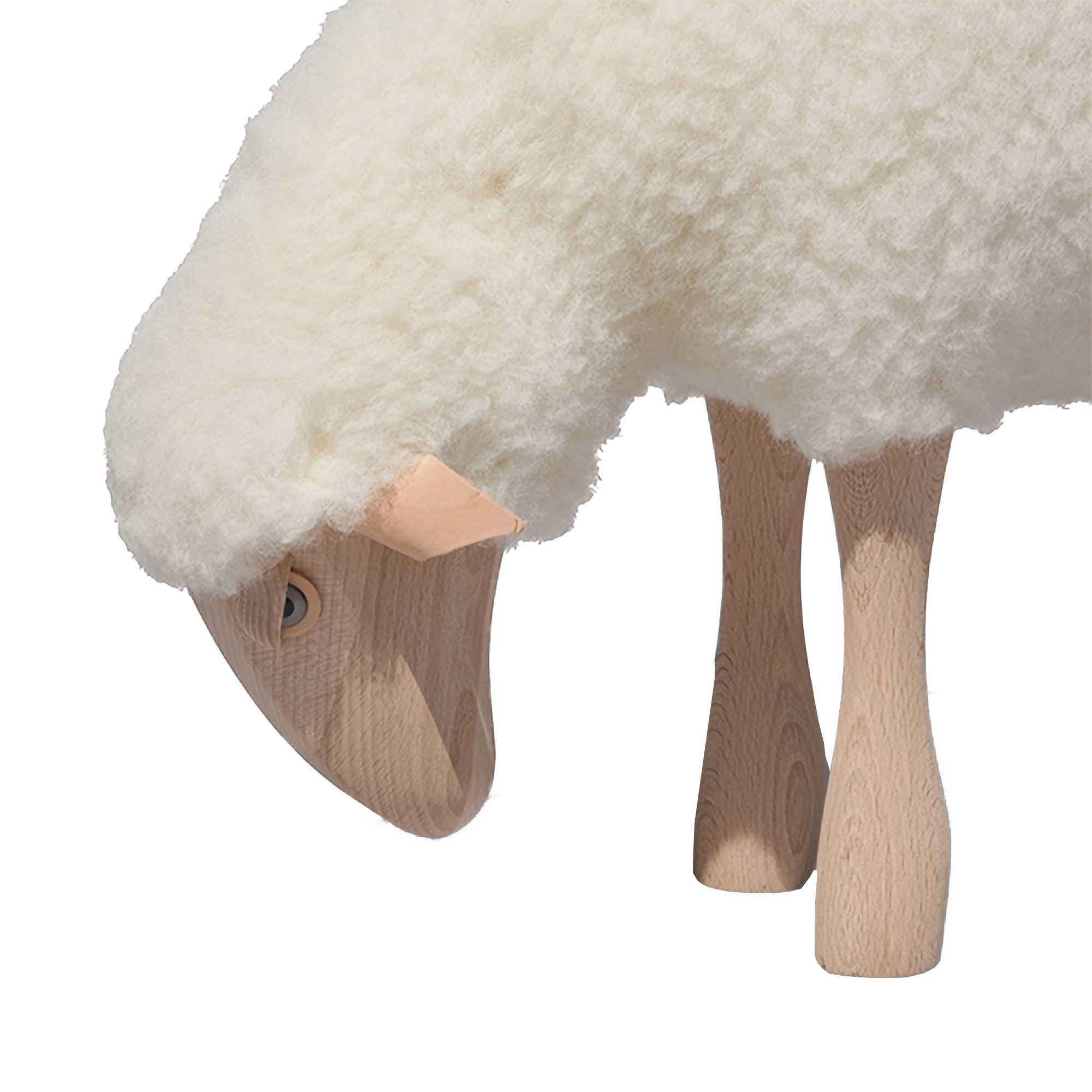 Lamb Wool Plush Grazing Medium. White