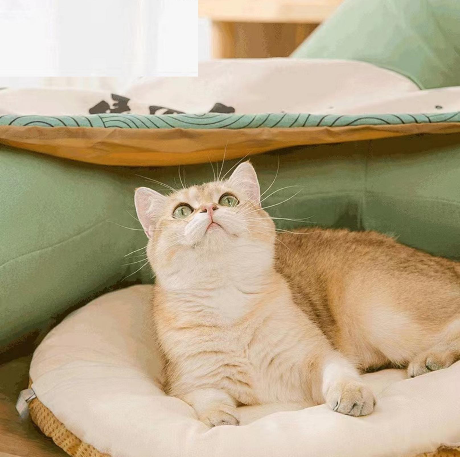 Multi-Functional Large Tunnel Cat Bed And Cat Toy