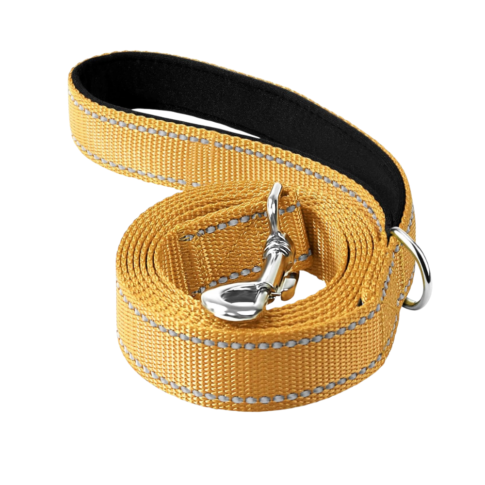 Double Sided Reflective Dog Leash