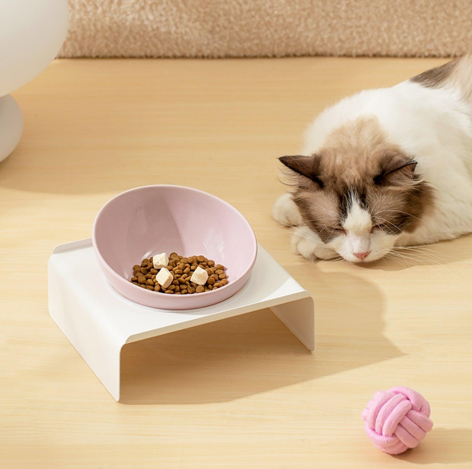 Adjustable Ceramic Pet Bowl with Arch Iron Stand