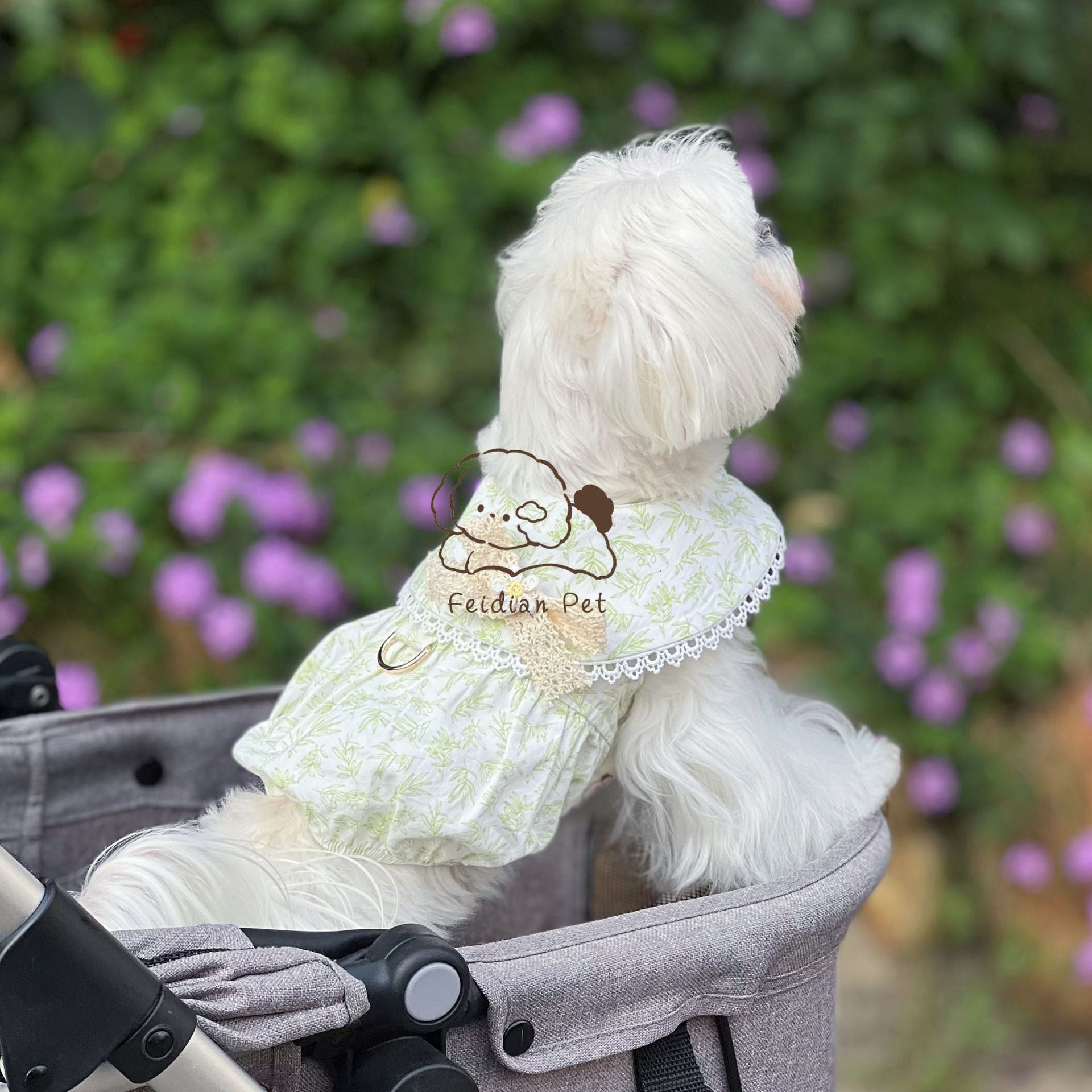 Leaf Printed Dog Dress with Hair Clip
