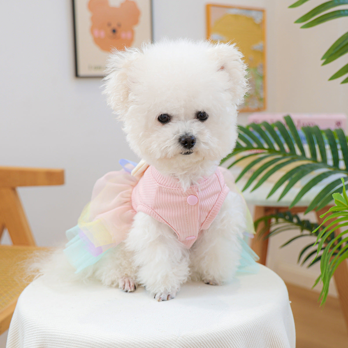 Rabbit Ear Decor Dog Cat Princess Dress