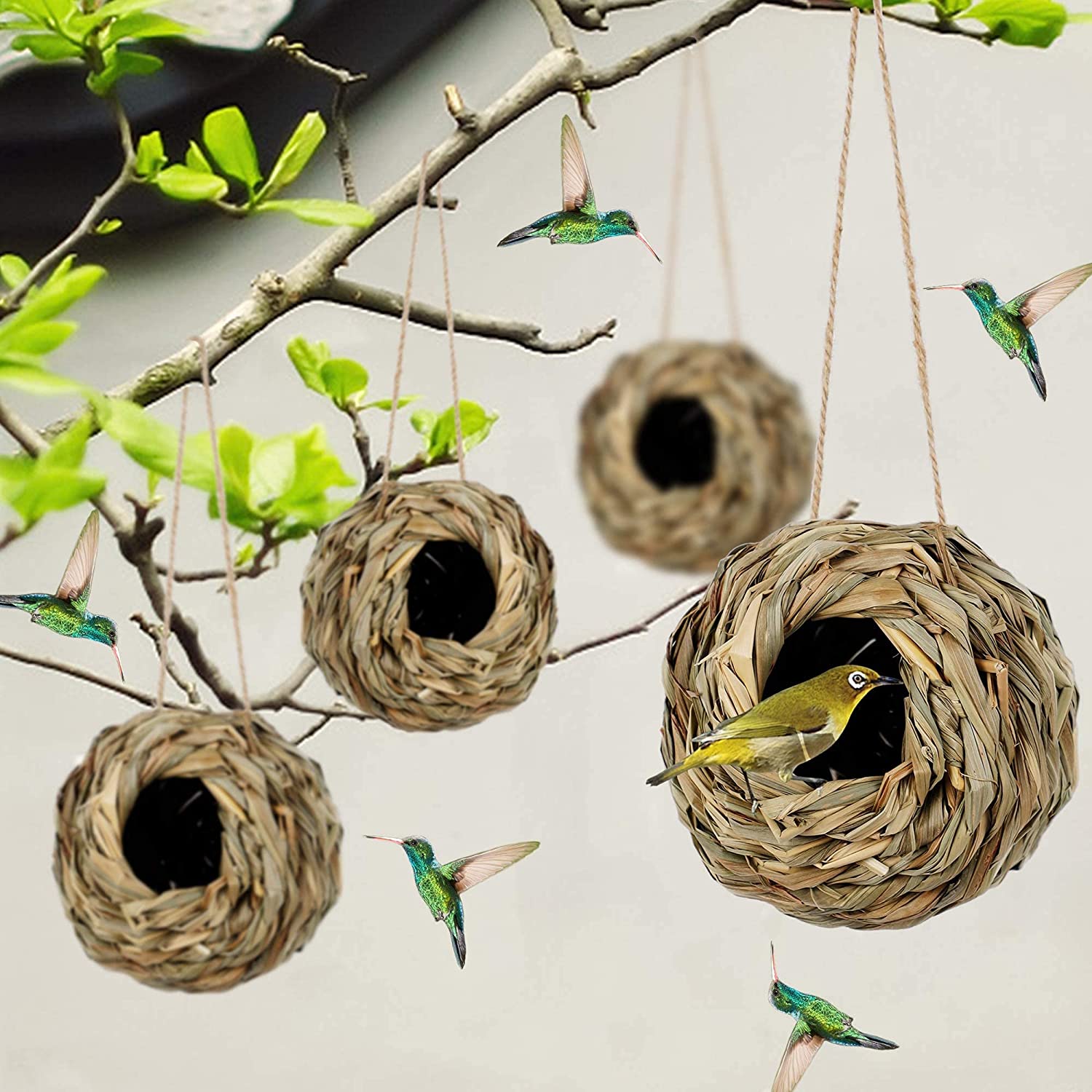 💲49% OFF-🐦Hummingbird Nest House