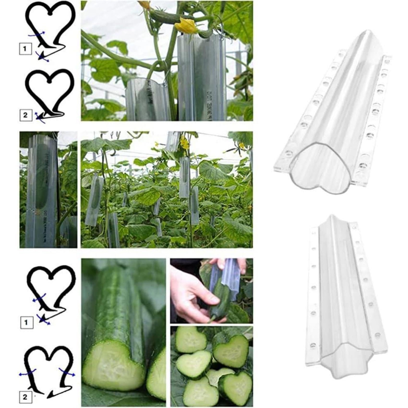 Cucumber Molds for Garden
