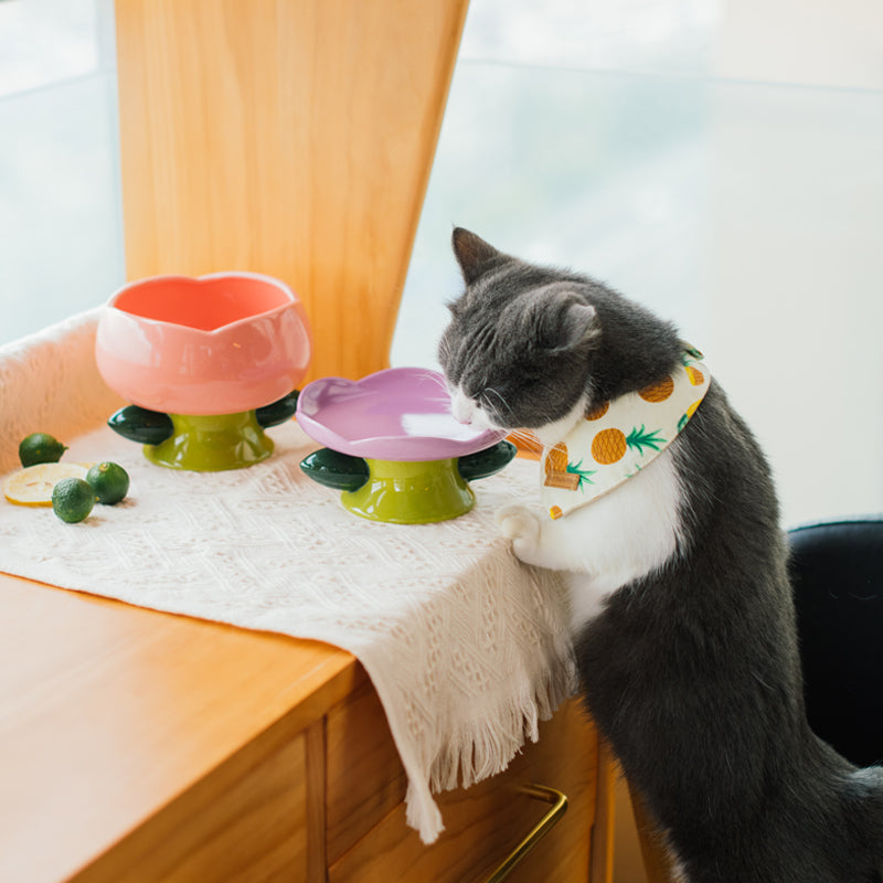 Flower Shape Cat Bowl