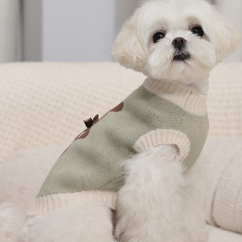 Sweet Bear Printed Dog Cat Sweater