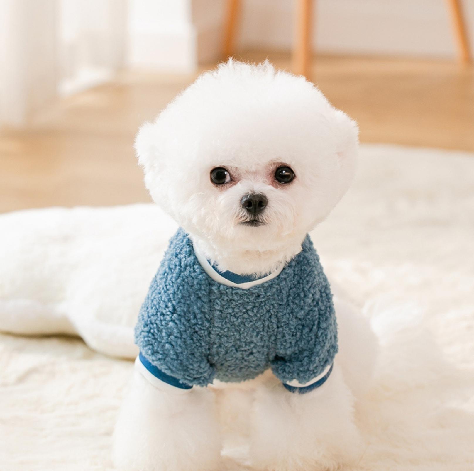Daisy-Embroidered Wool Fleece Apparel for Dogs and Cats