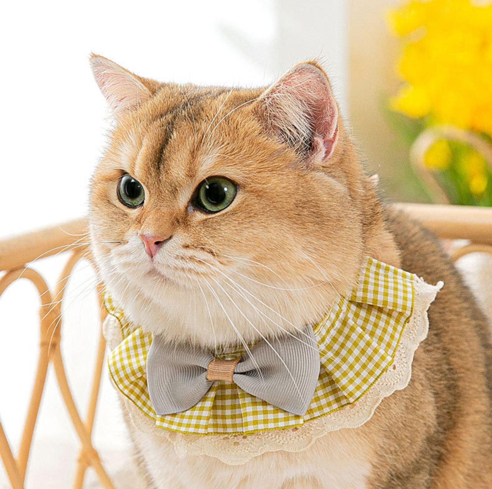 Woven Plaid Bow-Tie Pet Bib