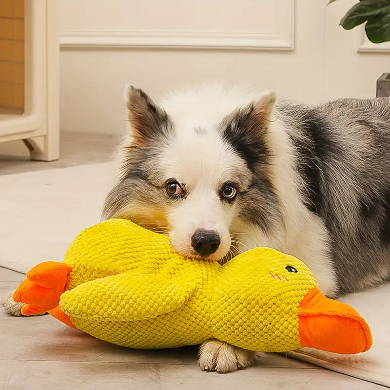 Versatile Chewing Duck Toy