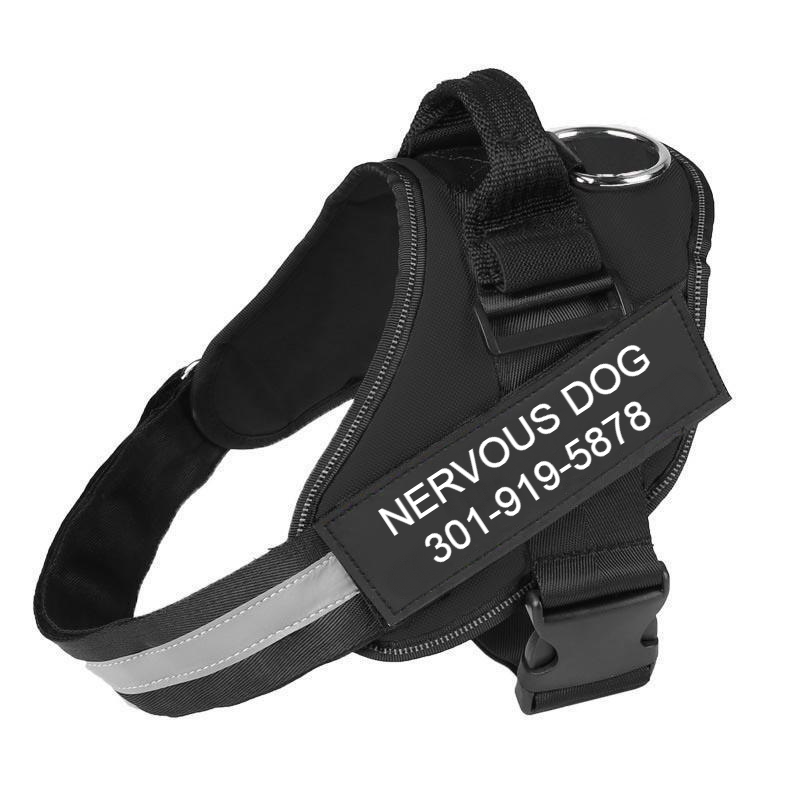 Custom No Pull Dog Harness with Name and Phone Number. Heavy Duty Personalized Pet Vest