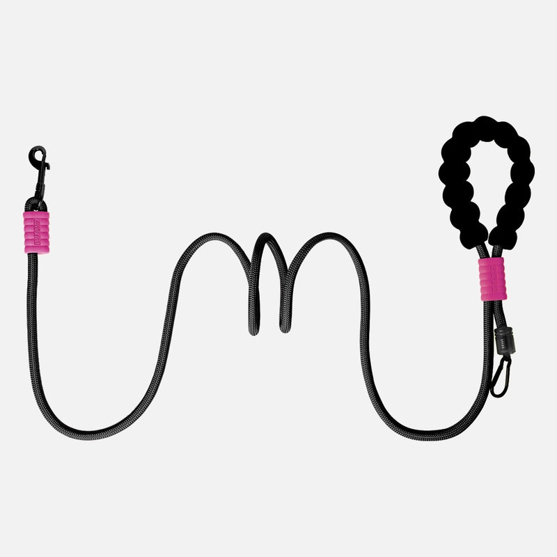 Minimalist Nylon Color Block Leash