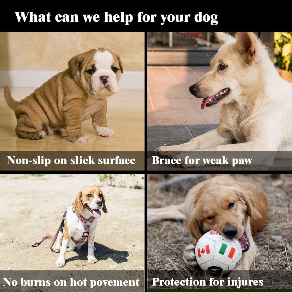 🐾-Dog Paw Protection