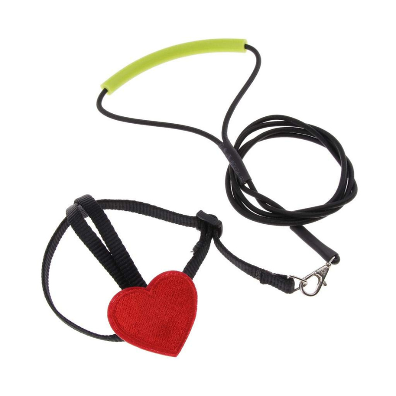 Bird Ultralight Harness Leash