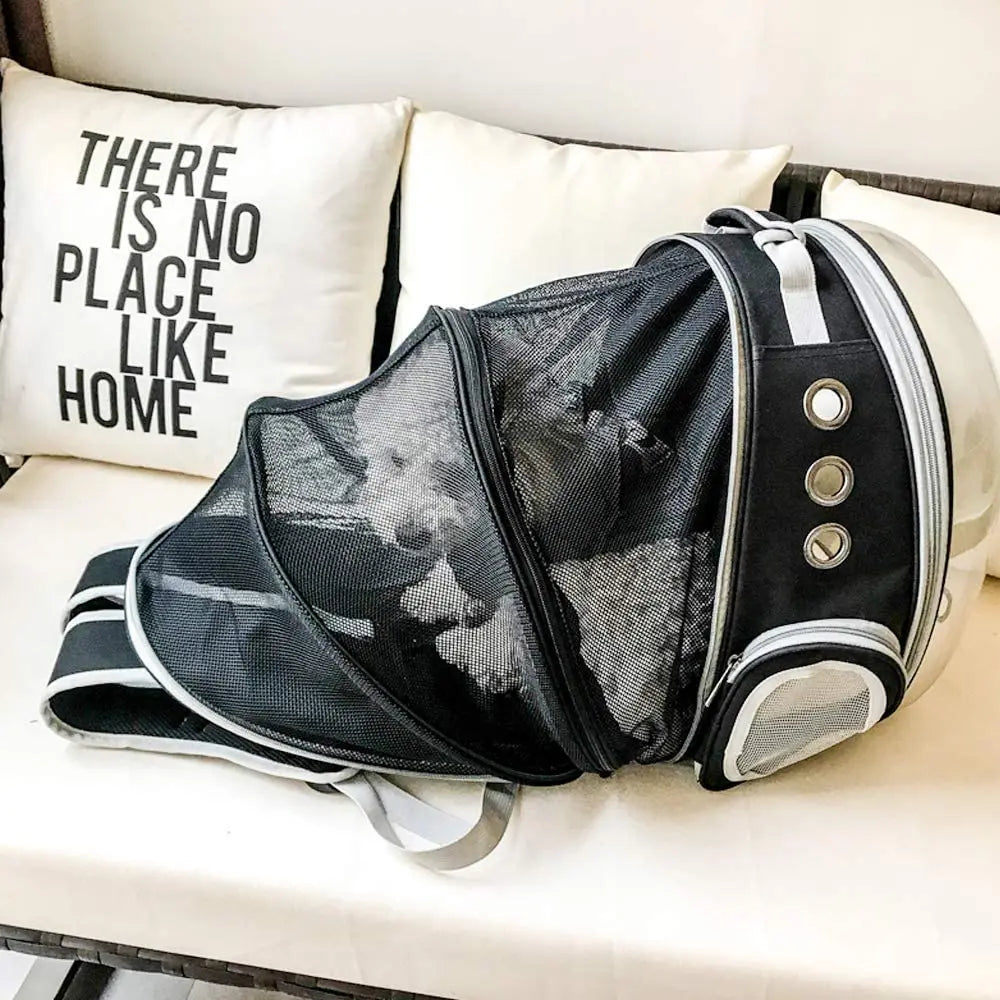 Backpack Pet Carrier