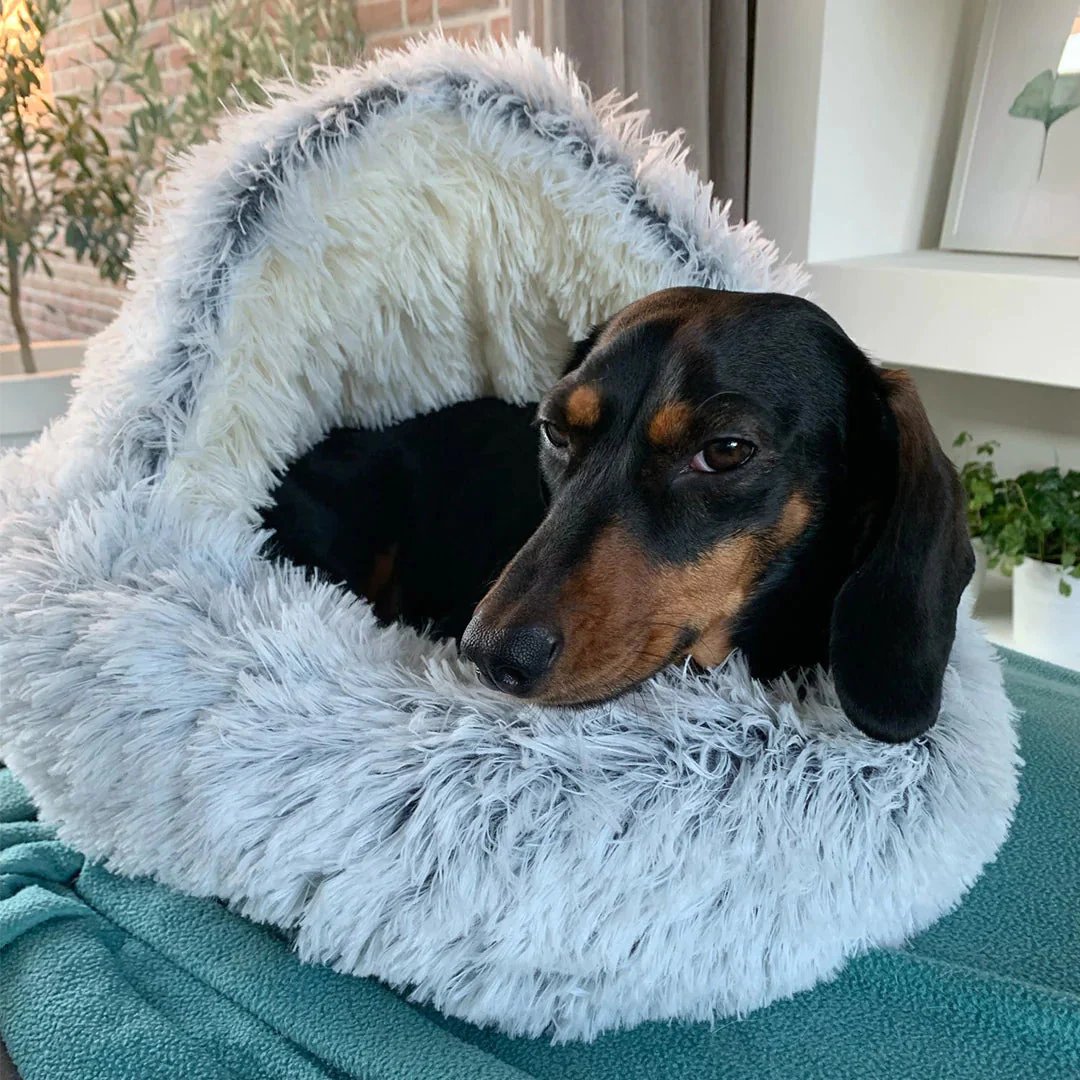 💕 Cozy Pet Bed