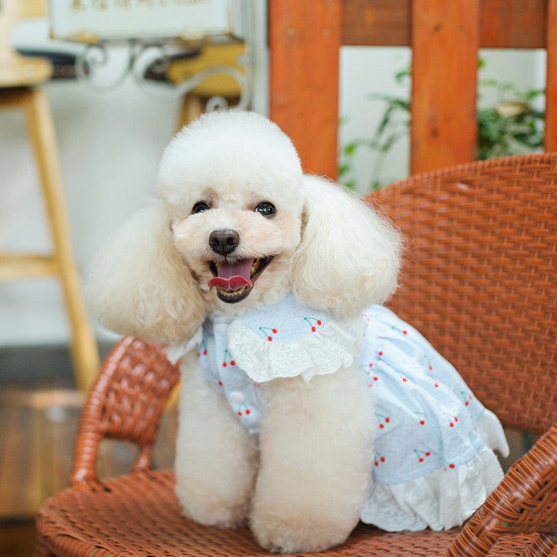 Cherry Lace Collar Dog Cat Dress