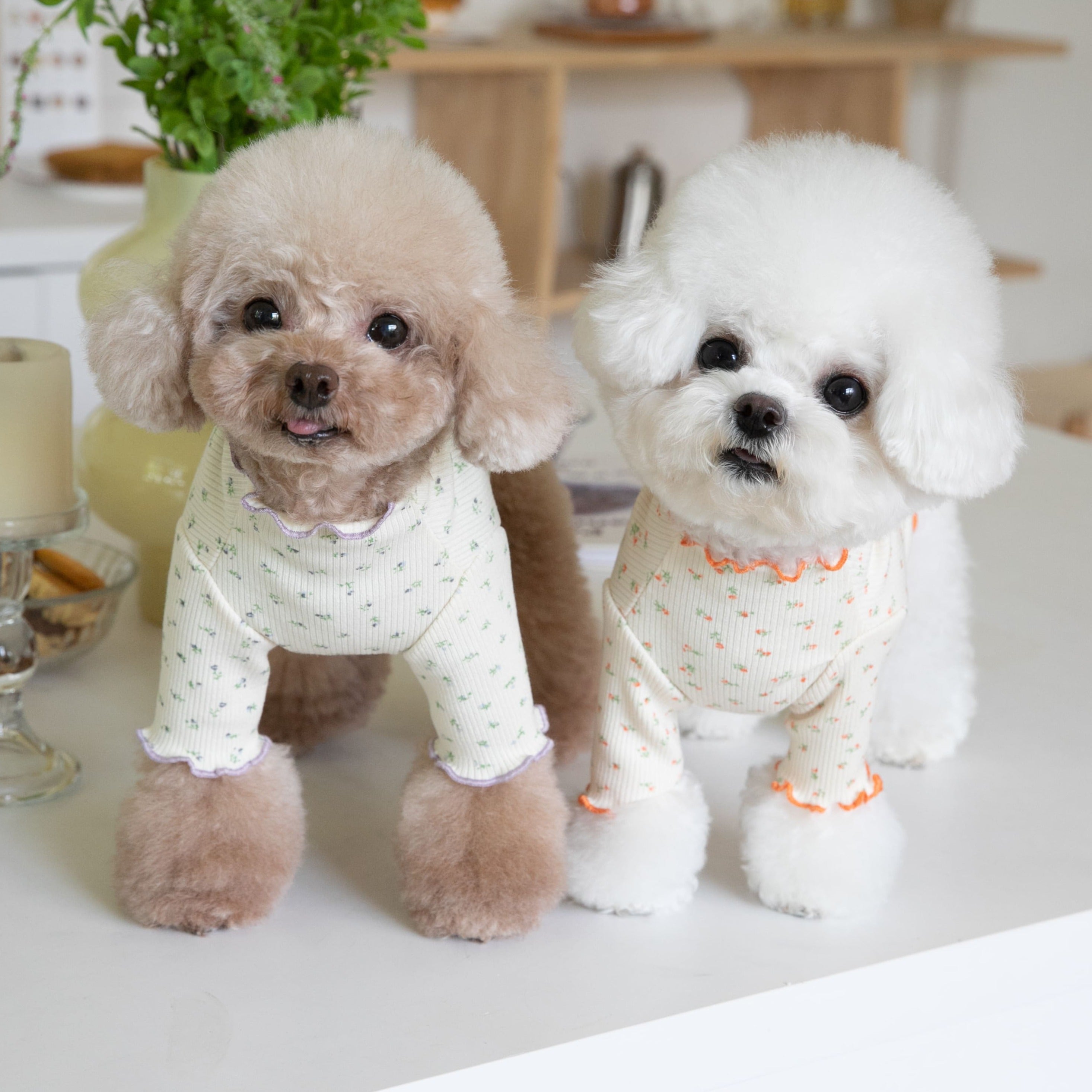 Floral Cotton Ruffled Dog Cat Sweatshirt
