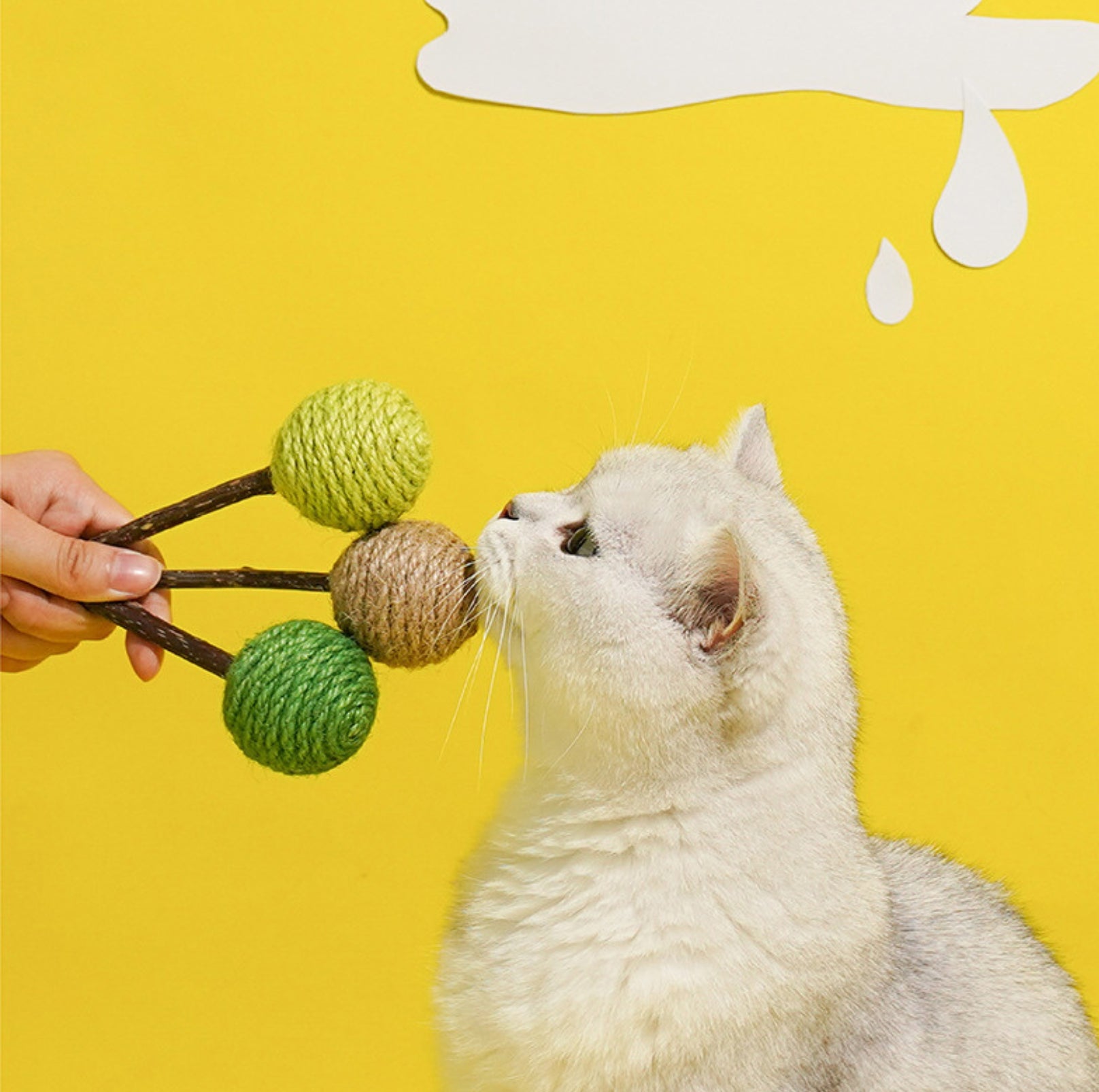 Lollipop-Shaped Polygonum Cat Toy Set (3 Pieces)