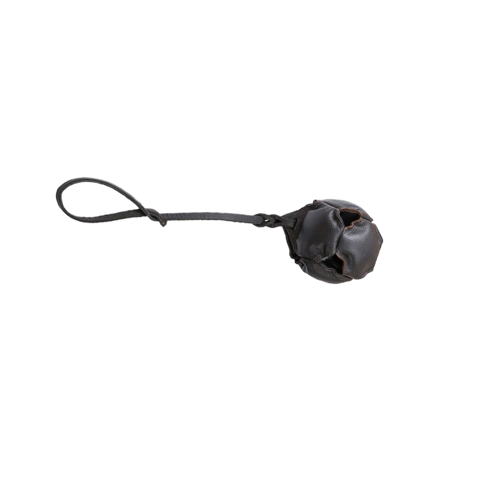 Training Dog Leather Ball