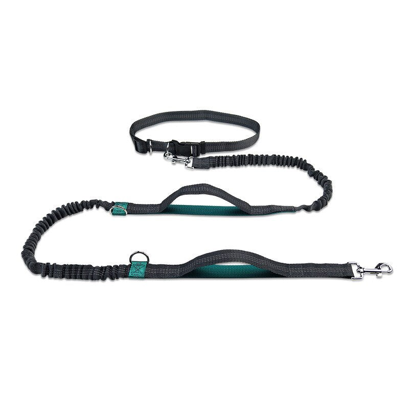 Running Dog Leash