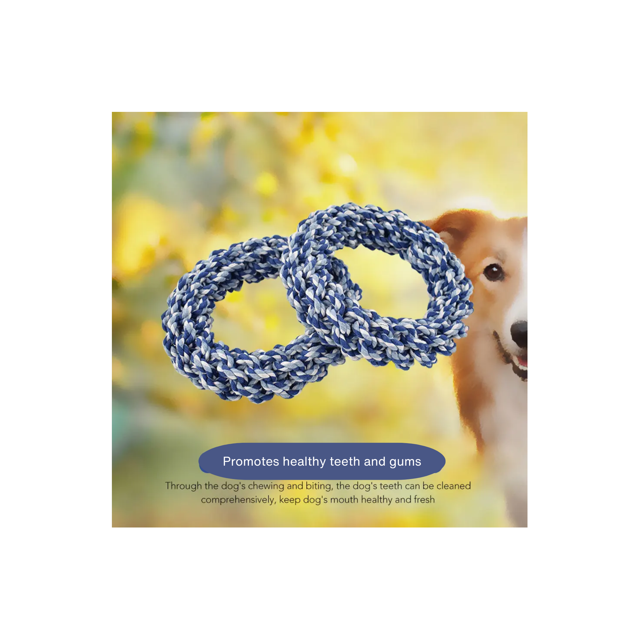 Rope Ring