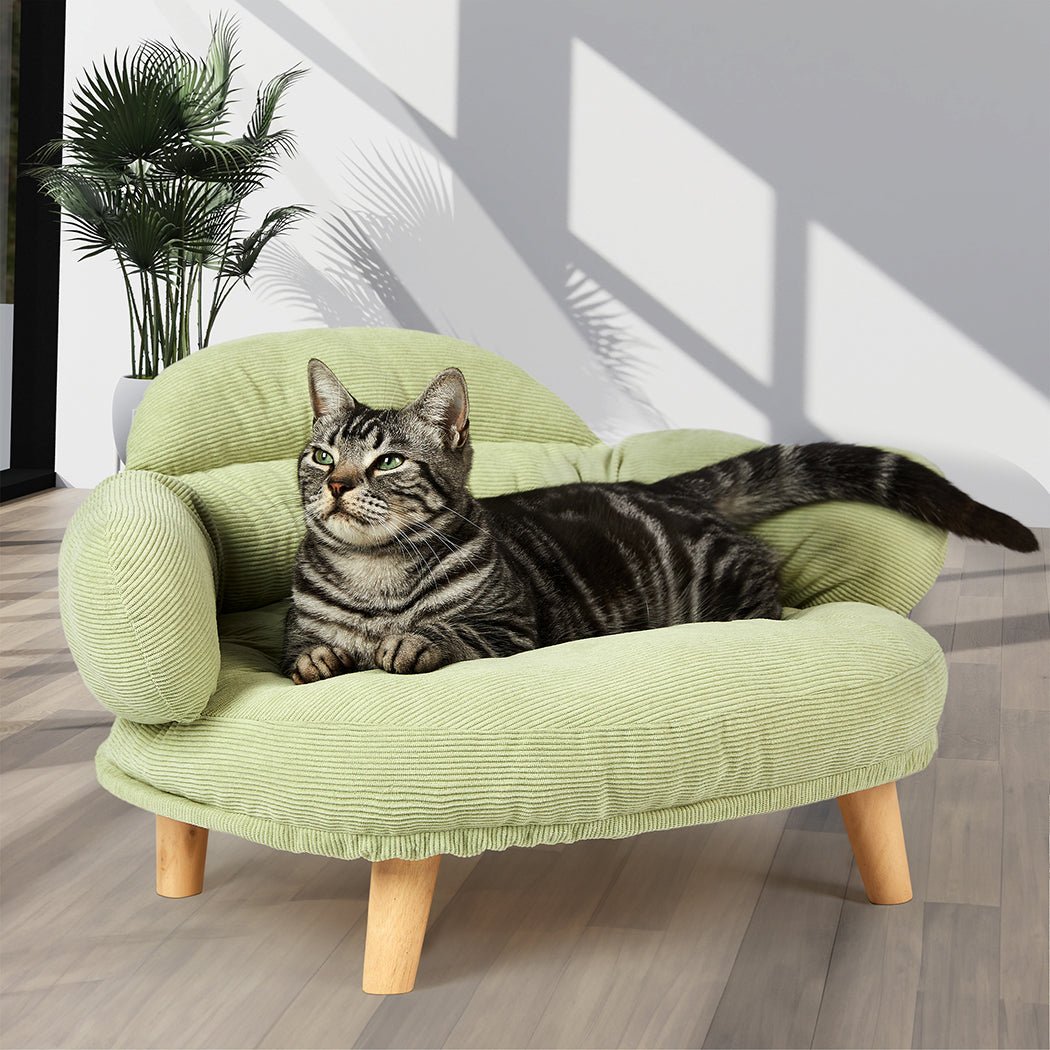 Plush Elevated Pet Sofa Bed - Green