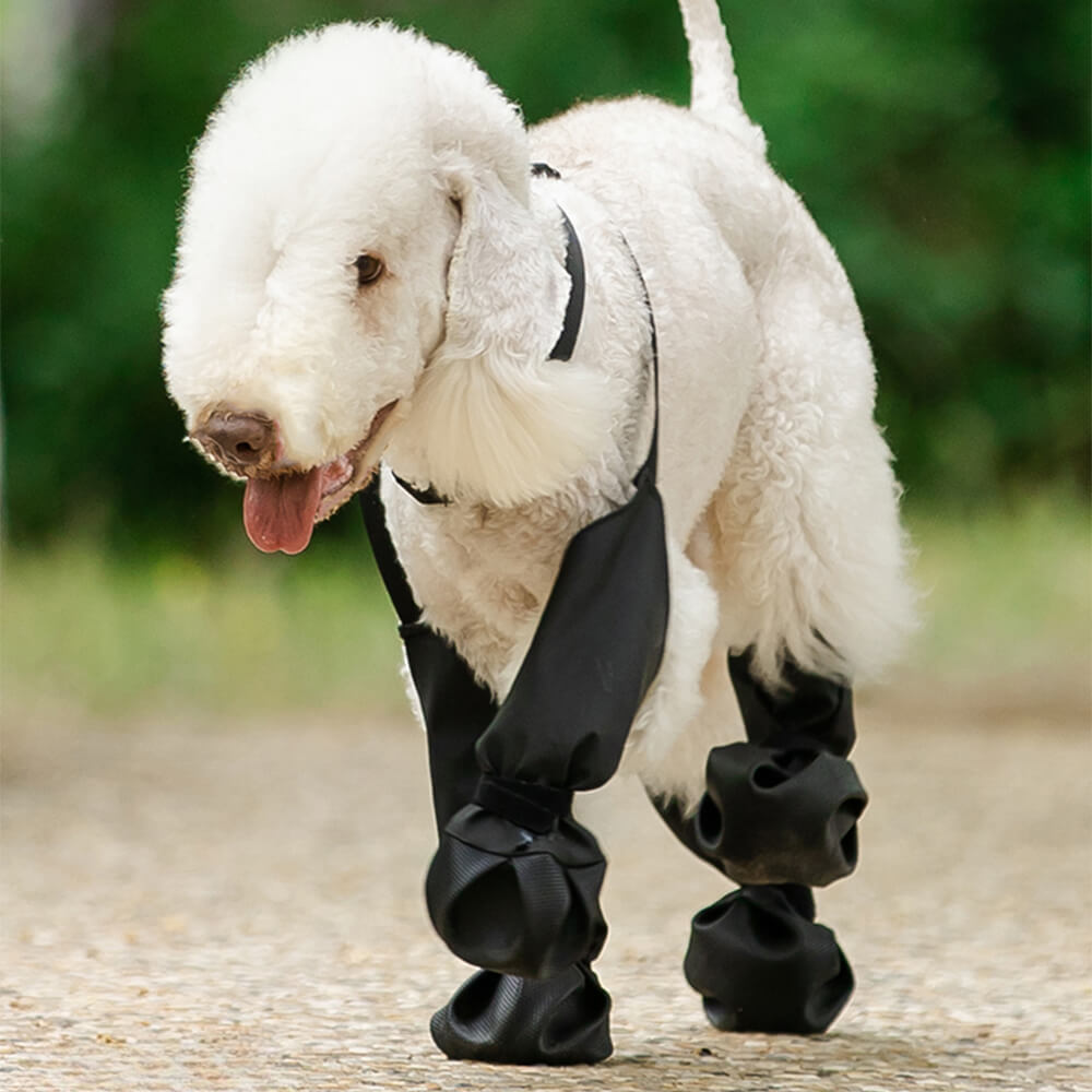 Waterproof Anti-Slip Dog Boot Leggings - Portable Durable and Dirt-proof