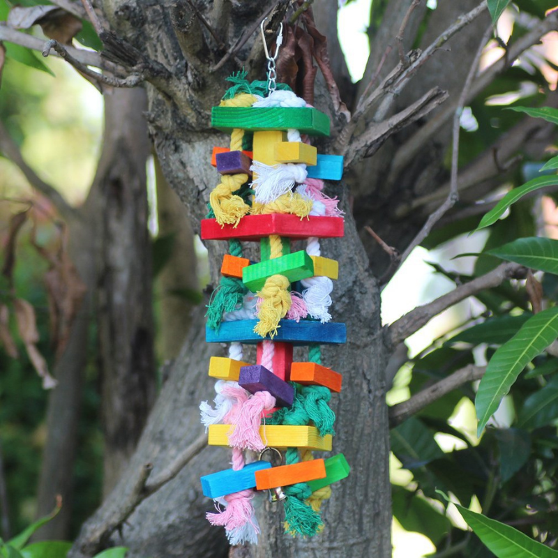 Hanging Chewing Swing Bird Toy