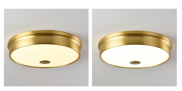 Gus | Ceiling Mounted Light