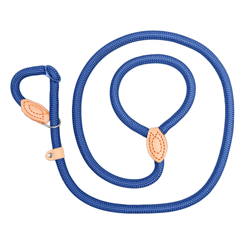 Minimalist Classic Style Nylon Solid Color Leash