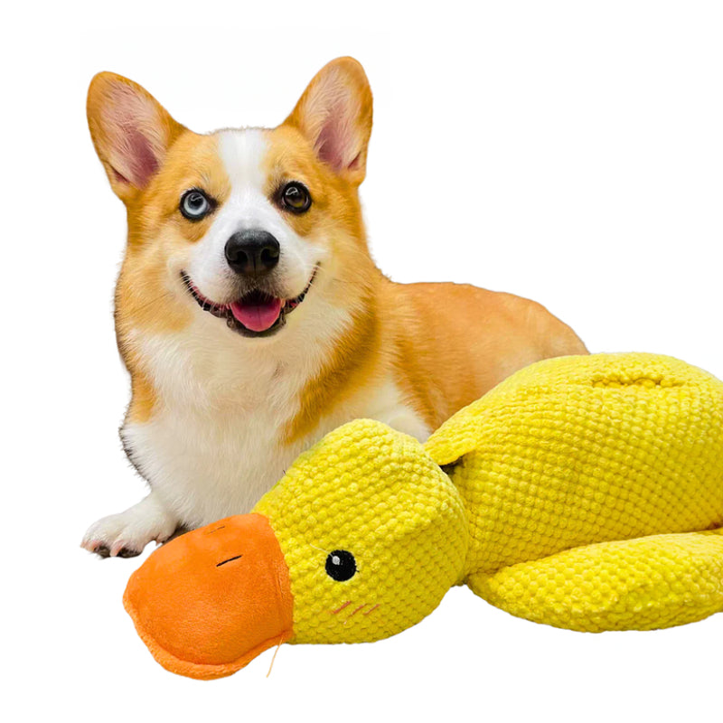 Versatile Chewing Duck Toy