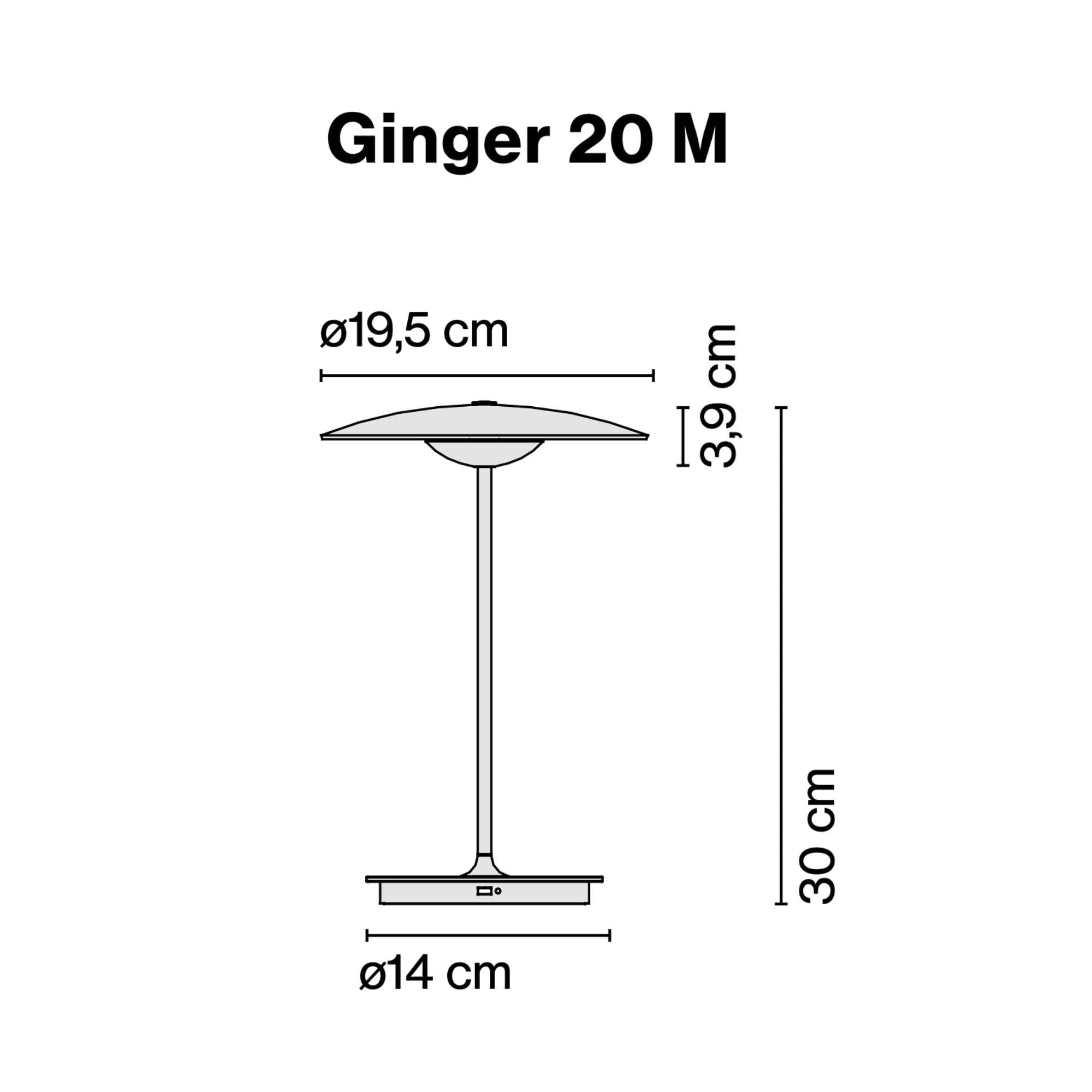 Marset Ginger 20 M rechargeable lamp. wenge