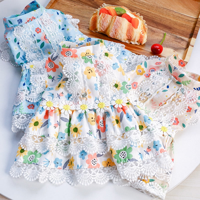 Floral Lace Design Dog Cat Dress