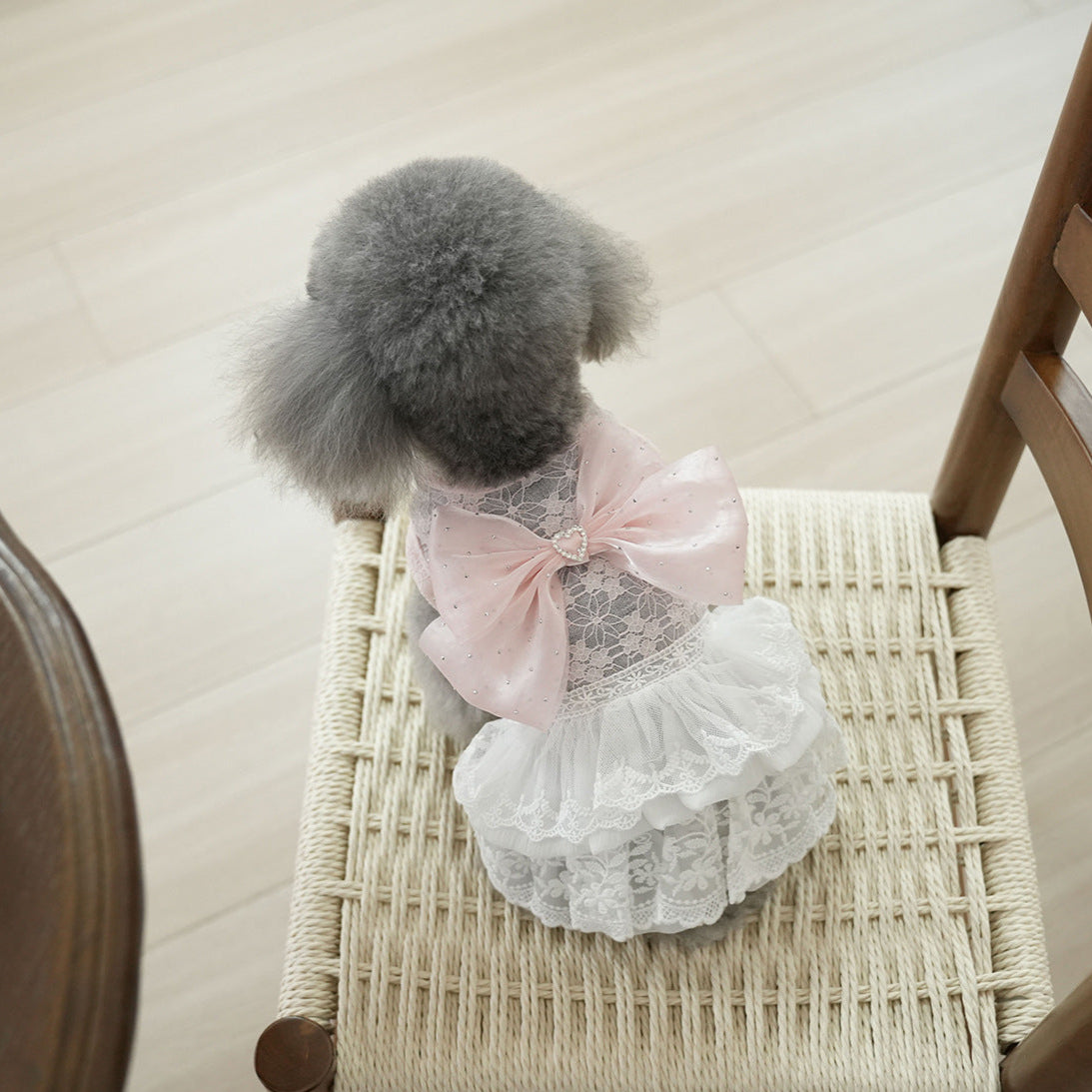 Sweet Lace Design Bow Dog Cat Dress