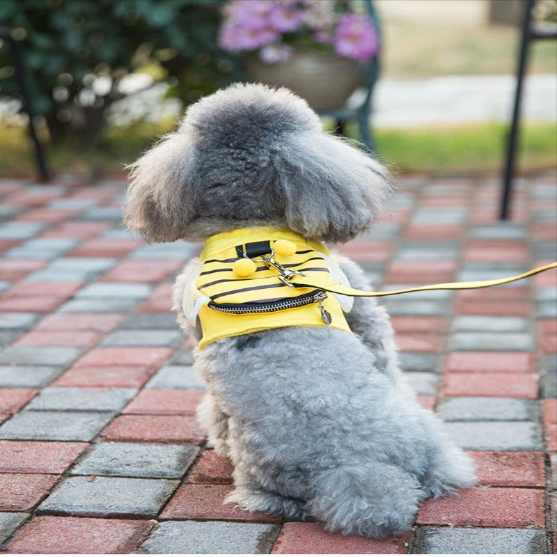 Cute Bee Cat Harness And Leash