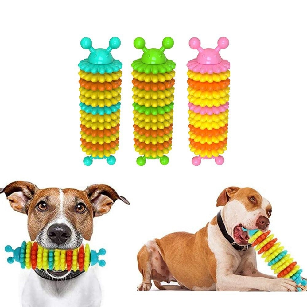 Caterpillar Dog Molar Toy