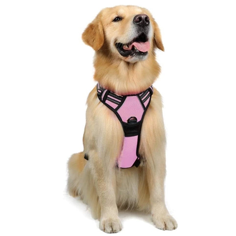 Minimalist Nylon Color Block Leash