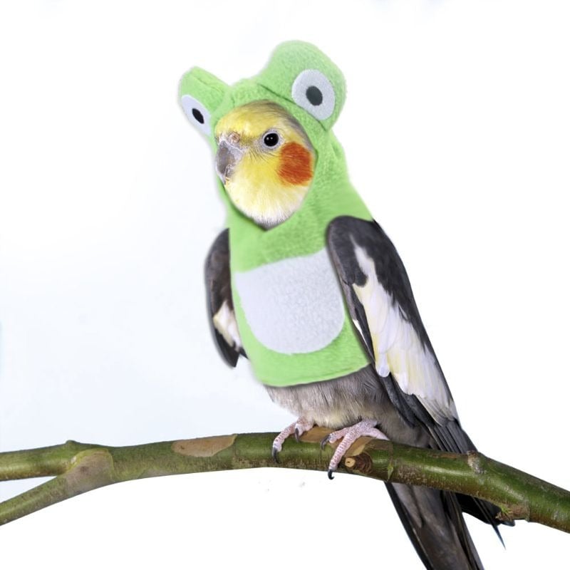 Frog-Shaped Bird's Clothing