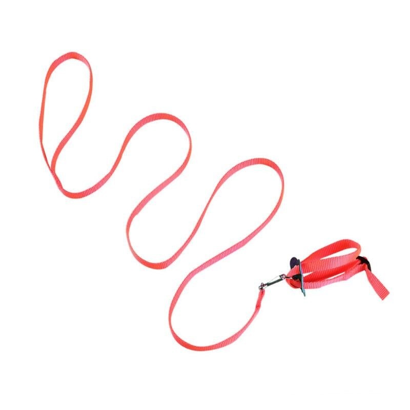 Adjustable Collar Harness Pet Strap