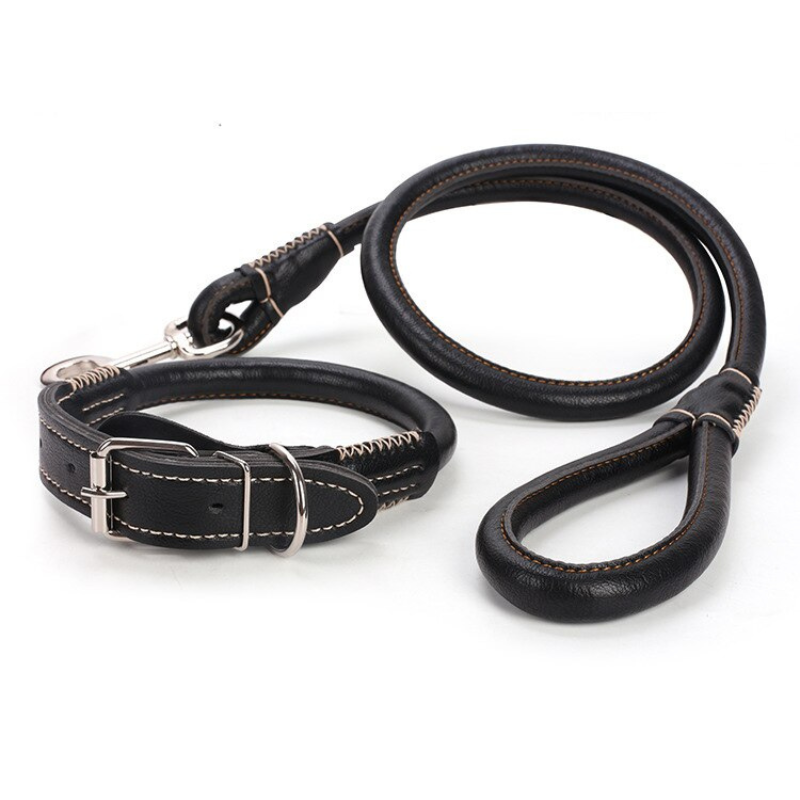 Leather Dog Collar And Leash Set
