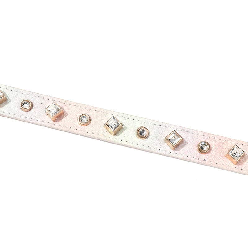 Rhinestone Decor Gradient Color Dog Collar