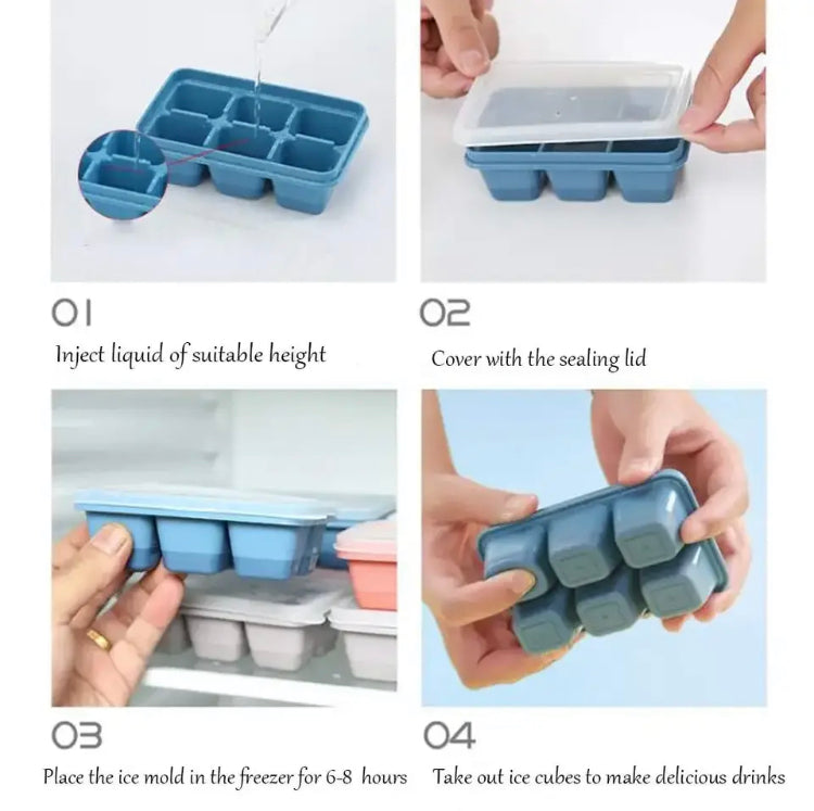 6X GRIDS ICE TRAY MOLD