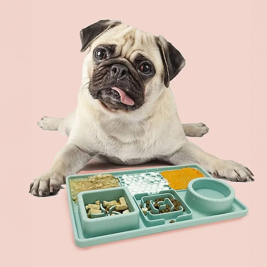 Happy Tails 3 in 1 Slow Feeder Tray